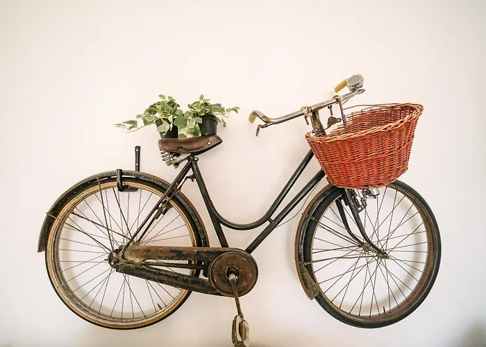 Bike&family *